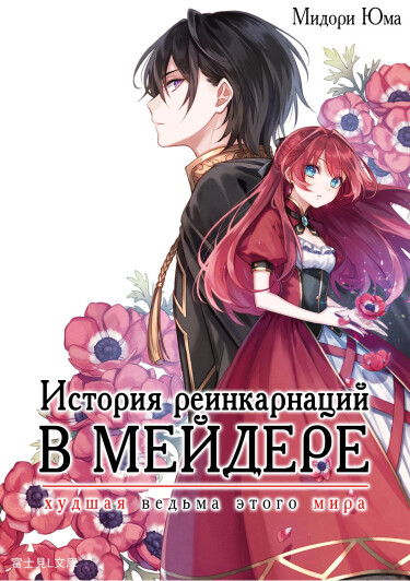 Обложка «История реинкарнаций в Мейдере (LN)»