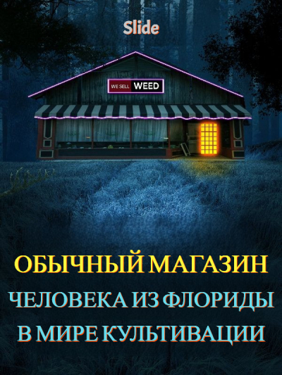 Обычный магазин человека из Флориды в мире культивации